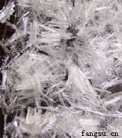 ������ά